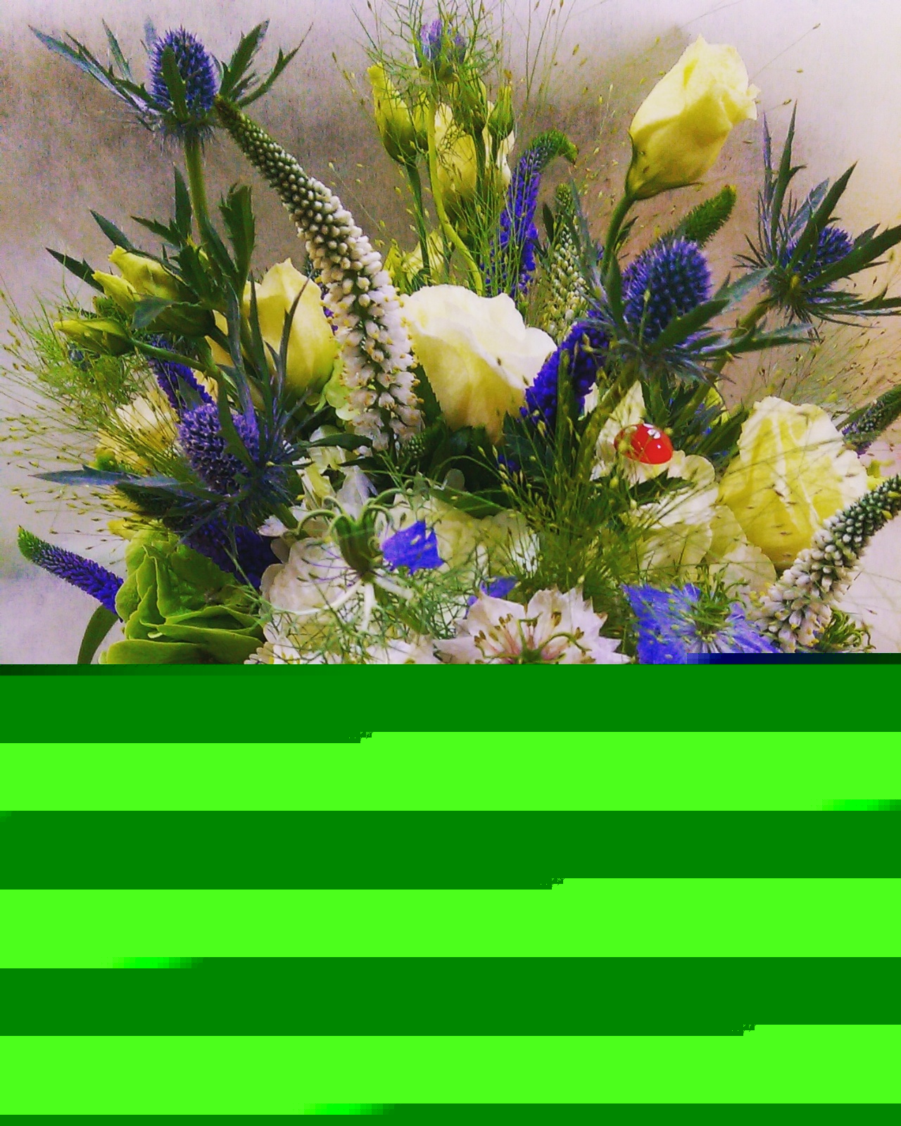 IMG 20160718 074053